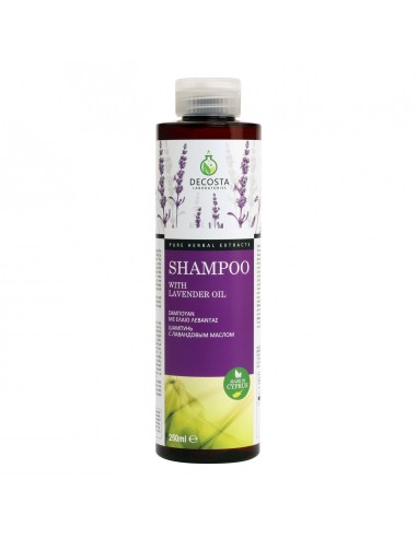 Shampoo Lavender Oil